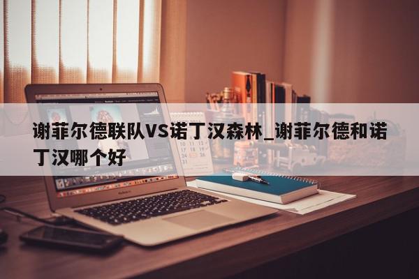 谢菲尔德联队VS诺丁汉森林_谢菲尔德和诺丁汉哪个好