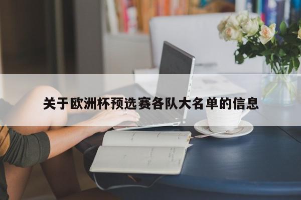 关于欧洲杯预选赛各队大名单的信息