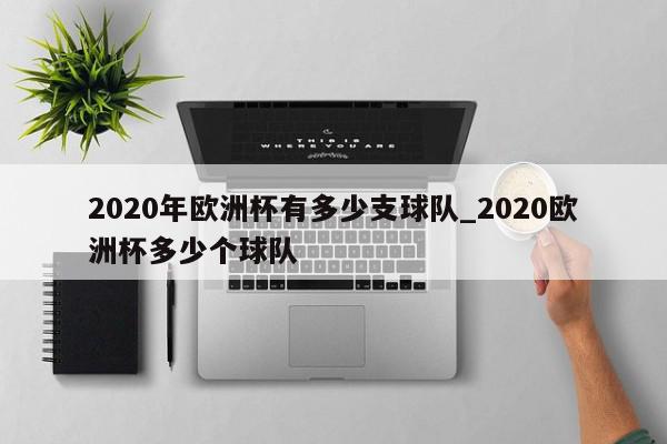 2020年欧洲杯有多少支球队_2020欧洲杯多少个球队