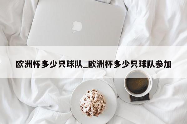 欧洲杯多少只球队_欧洲杯多少只球队参加