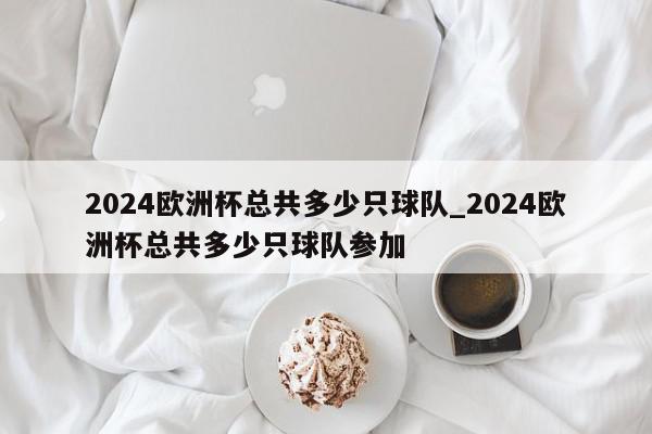 2024欧洲杯总共多少只球队_2024欧洲杯总共多少只球队参加