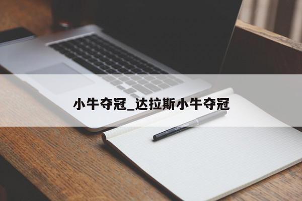 小牛夺冠_达拉斯小牛夺冠