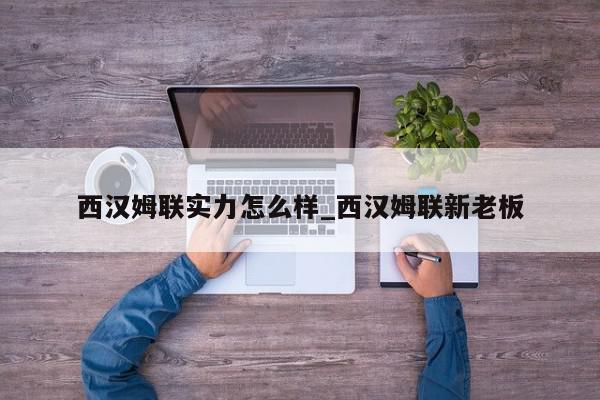 西汉姆联实力怎么样_西汉姆联新老板