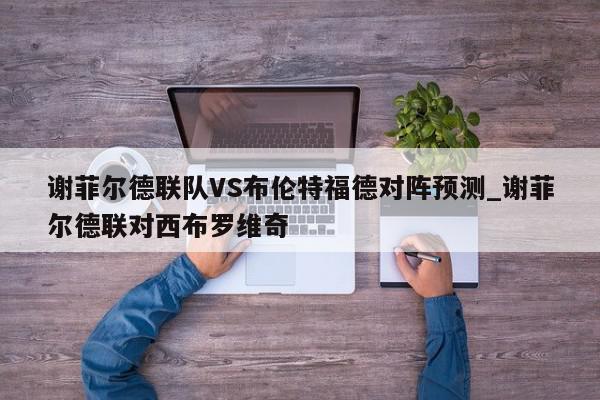 谢菲尔德联队VS布伦特福德对阵预测_谢菲尔德联对西布罗维奇