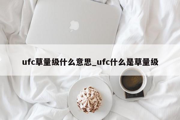 ufc草量级什么意思_ufc什么是草量级